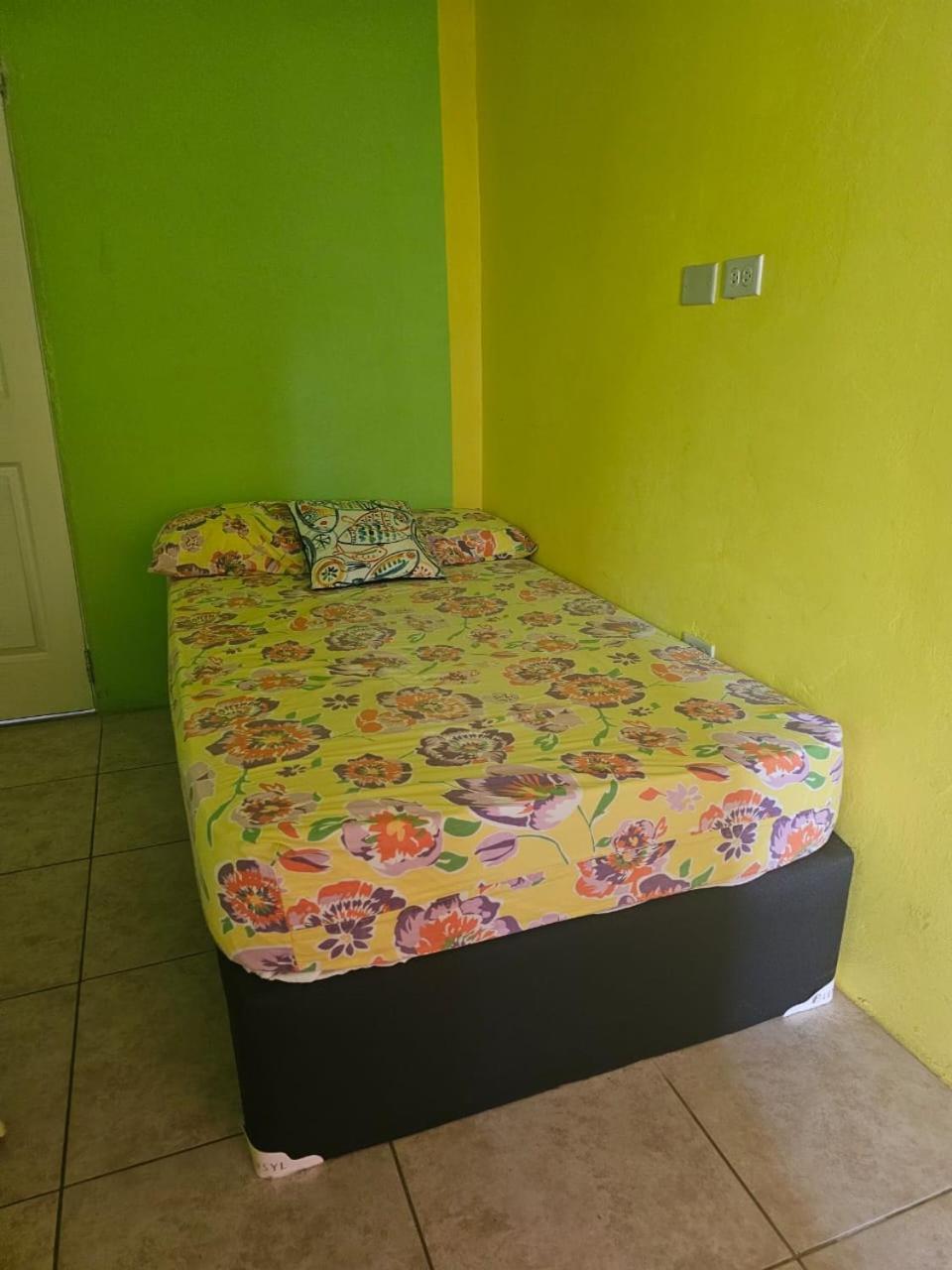 Fish Tobago Guesthouse Or Joy And Brandon Guesthouse Buccoo Habitación foto